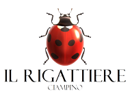 Il Rigattiere Ciampino
