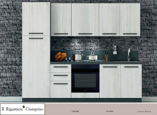Arredo cucina con elettrodomestici di colore eucalipto